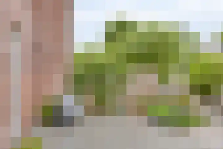 Rijperwaard 124 Alkmaar thumbnail 31