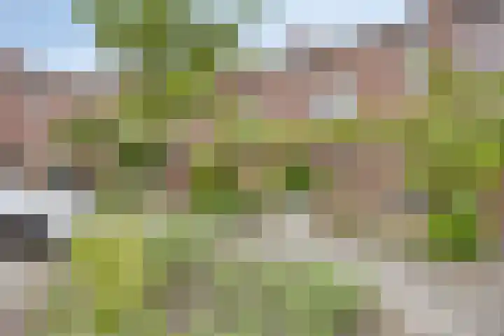 Rijperwaard 124 Alkmaar thumbnail 41