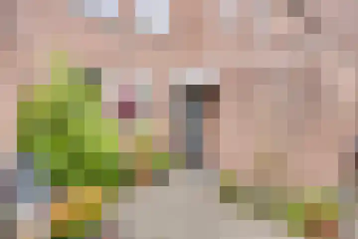 Rijperwaard 124 Alkmaar thumbnail 6