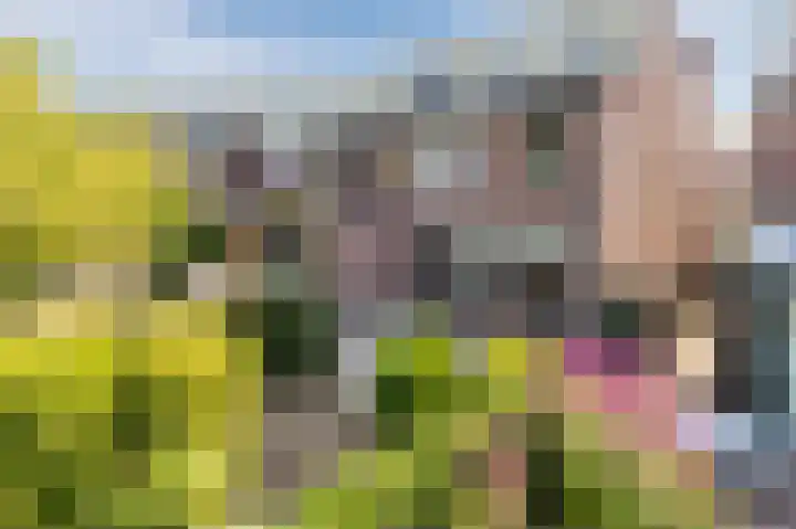 Rijperwaard 135 Alkmaar thumbnail 25