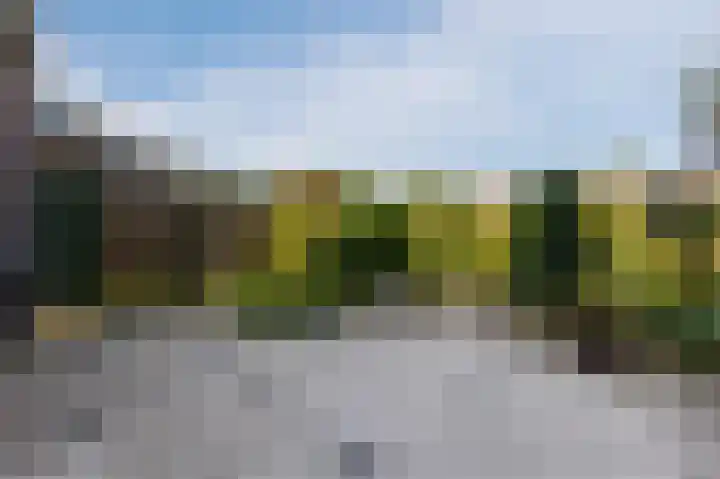 Rijperwaard 135 Alkmaar thumbnail 26