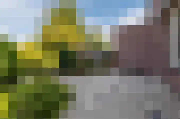 Rijperwaard 135 Alkmaar thumbnail 27