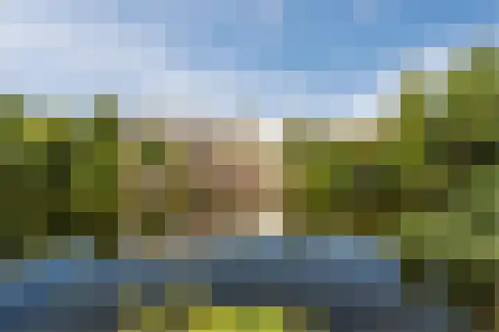 Rijperwaard 135 Alkmaar thumbnail 29