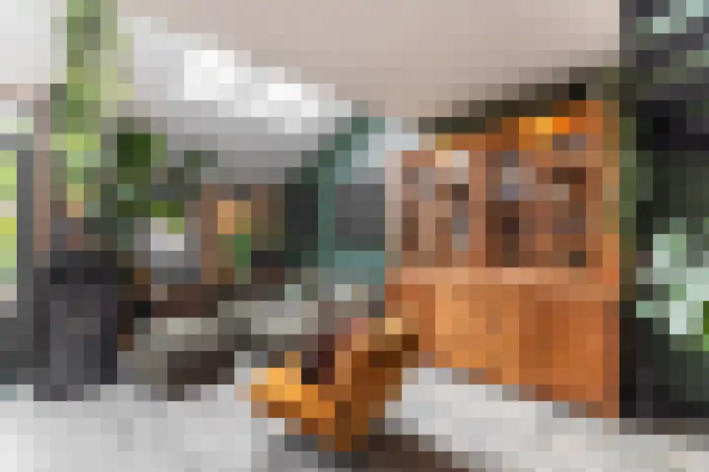 Rijperwaard 205 Alkmaar thumbnail 10