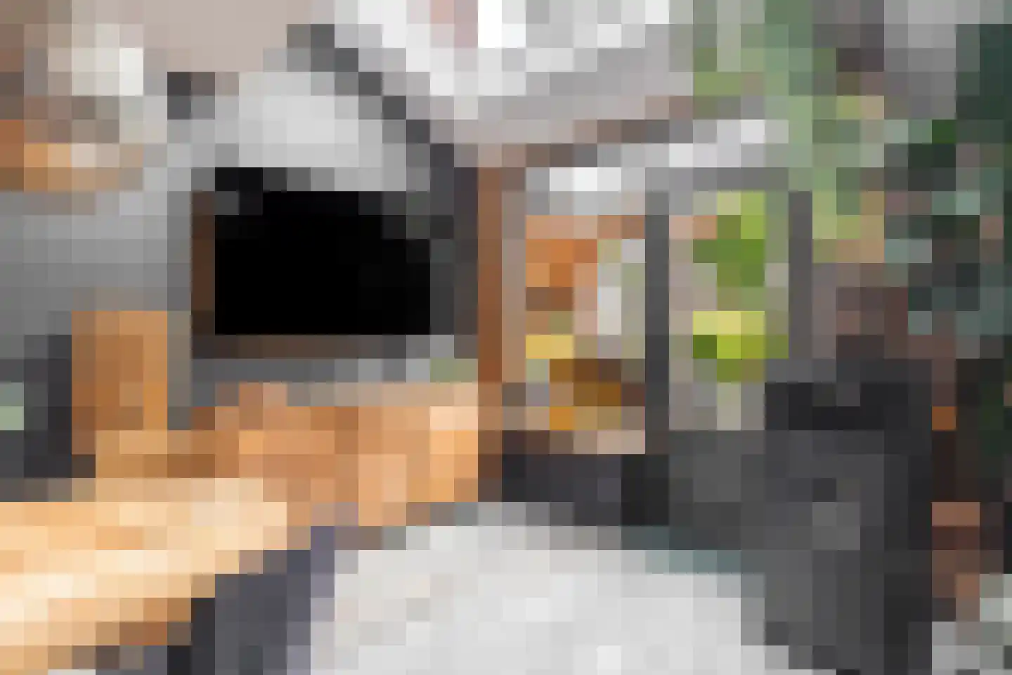 Rijperwaard 205 Alkmaar thumbnail 11
