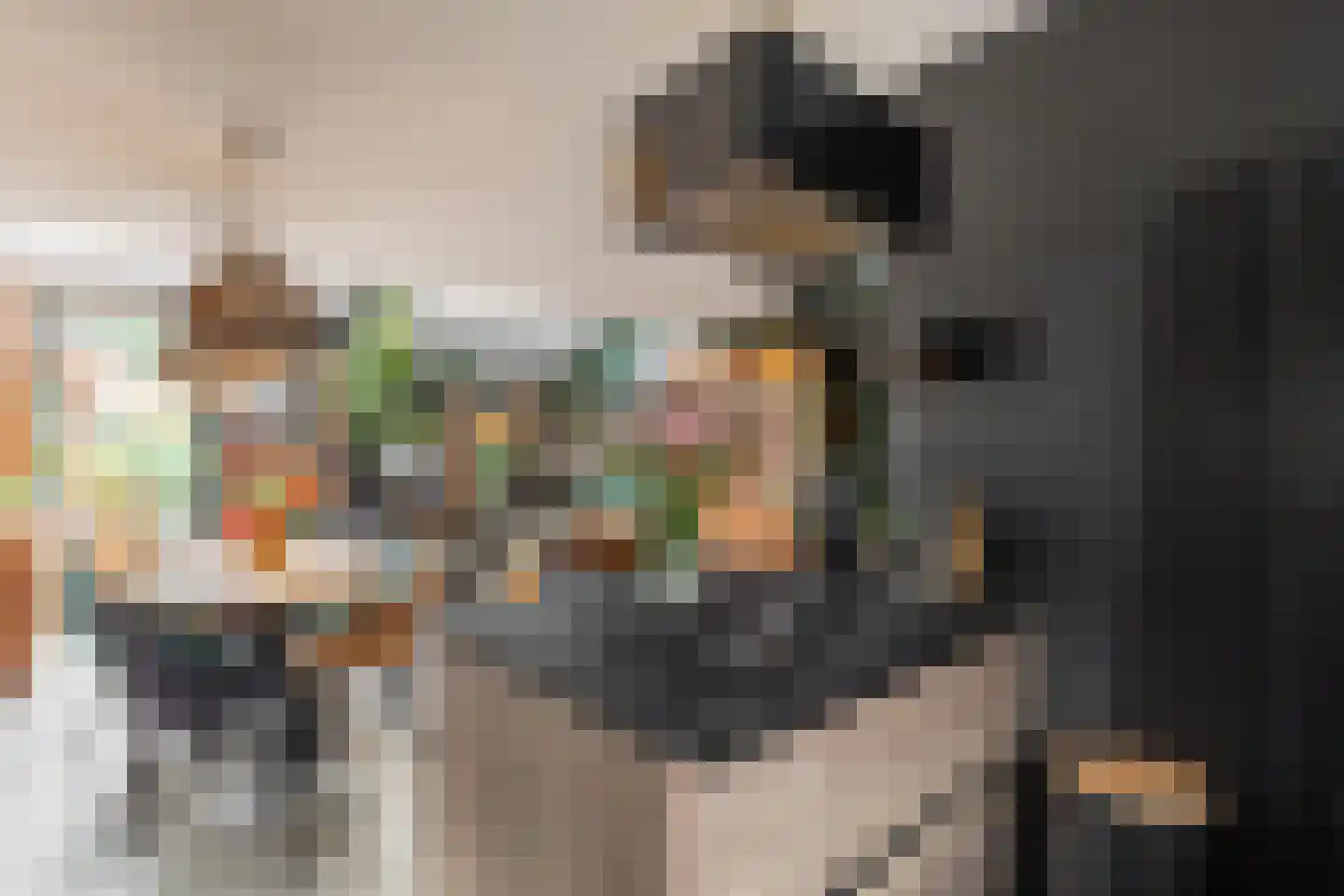 Rijperwaard 205 Alkmaar thumbnail 19