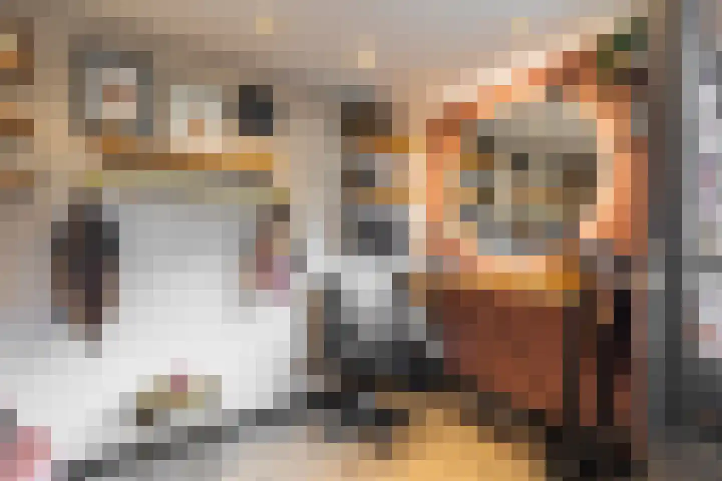 Rijperwaard 205 Alkmaar thumbnail 21