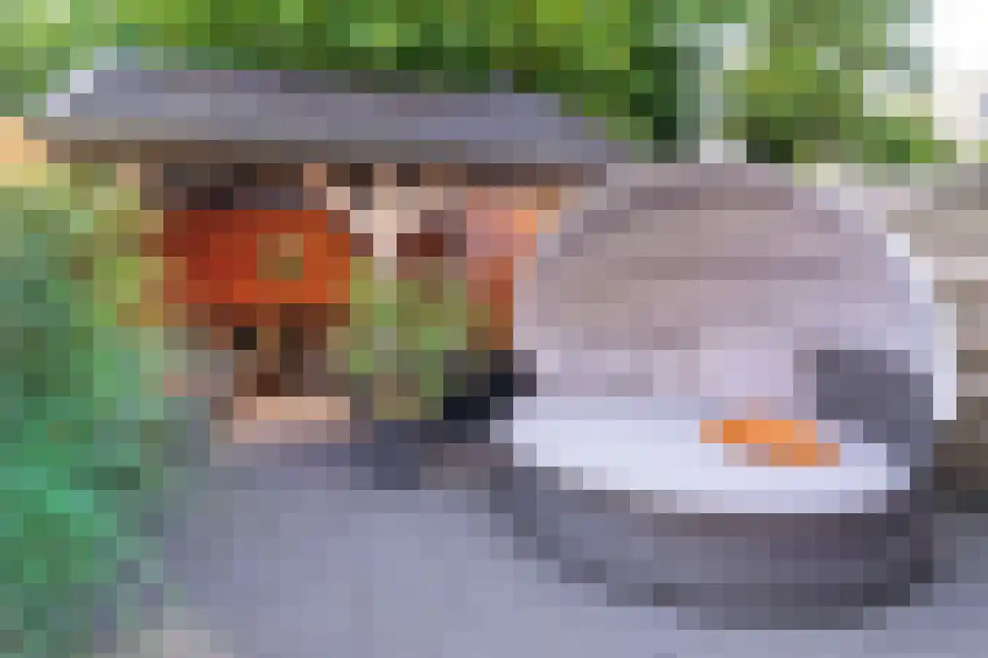 Rijperwaard 205 Alkmaar thumbnail 25