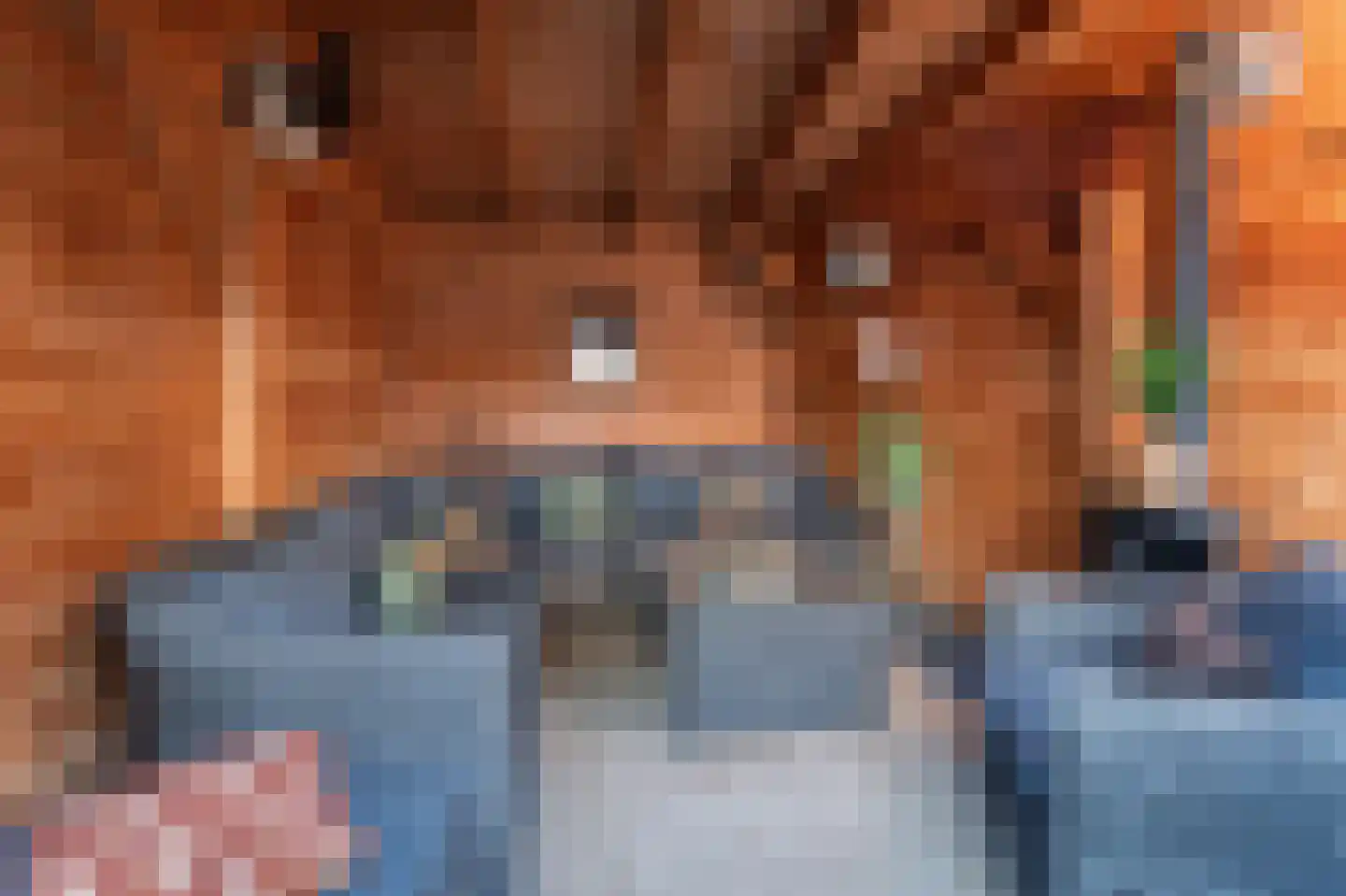 Rijperwaard 205 Alkmaar thumbnail 28