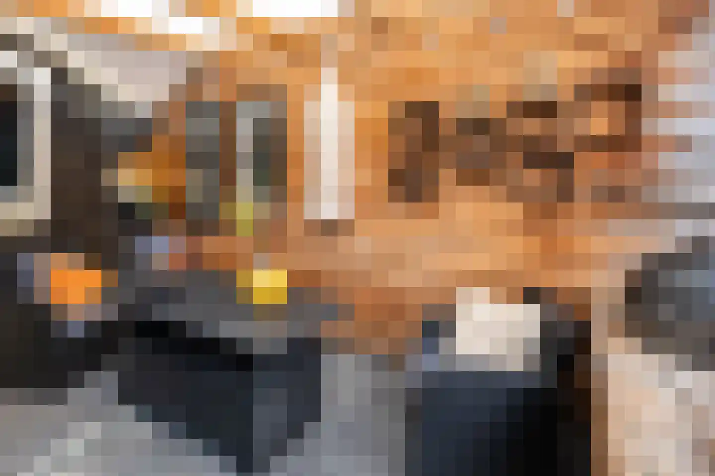 Rijperwaard 205 Alkmaar thumbnail 31