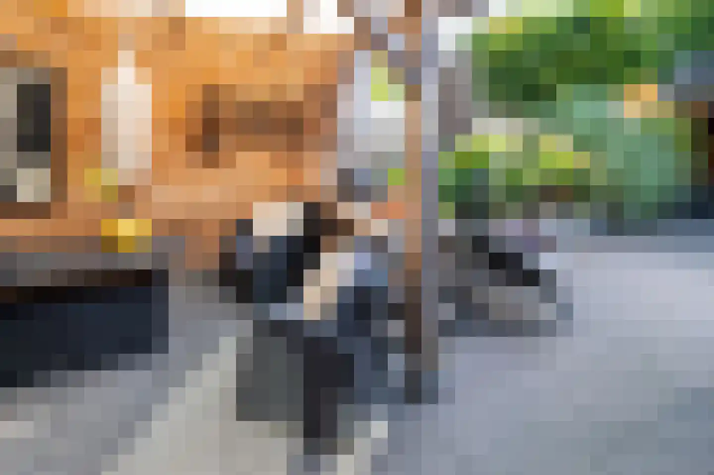 Rijperwaard 205 Alkmaar thumbnail 32