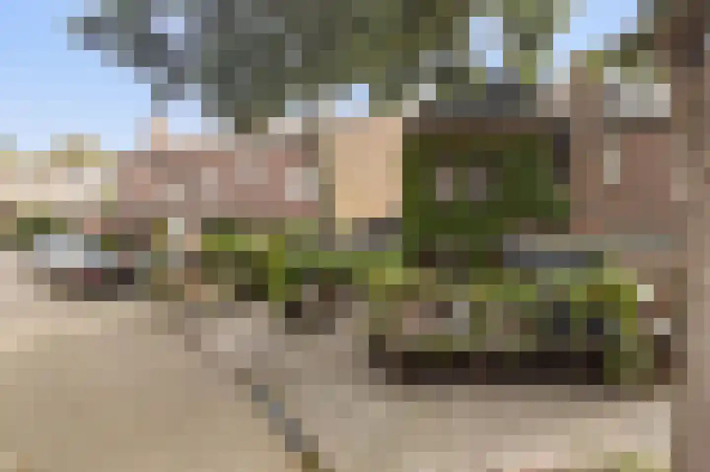 Rijperwaard 205 Alkmaar thumbnail 62
