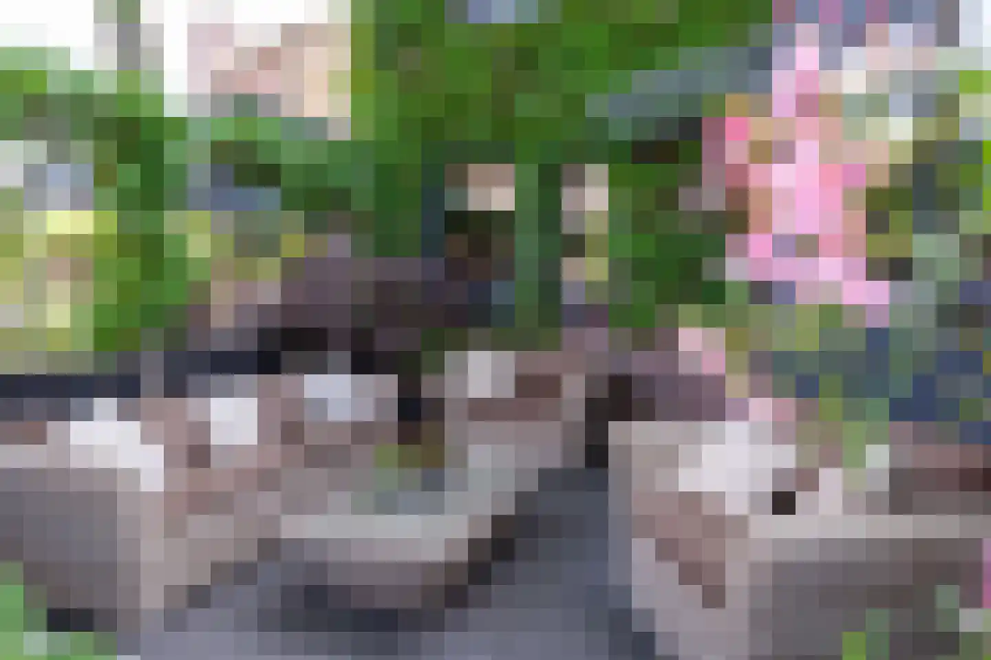Rijperwaard 205 Alkmaar thumbnail 7