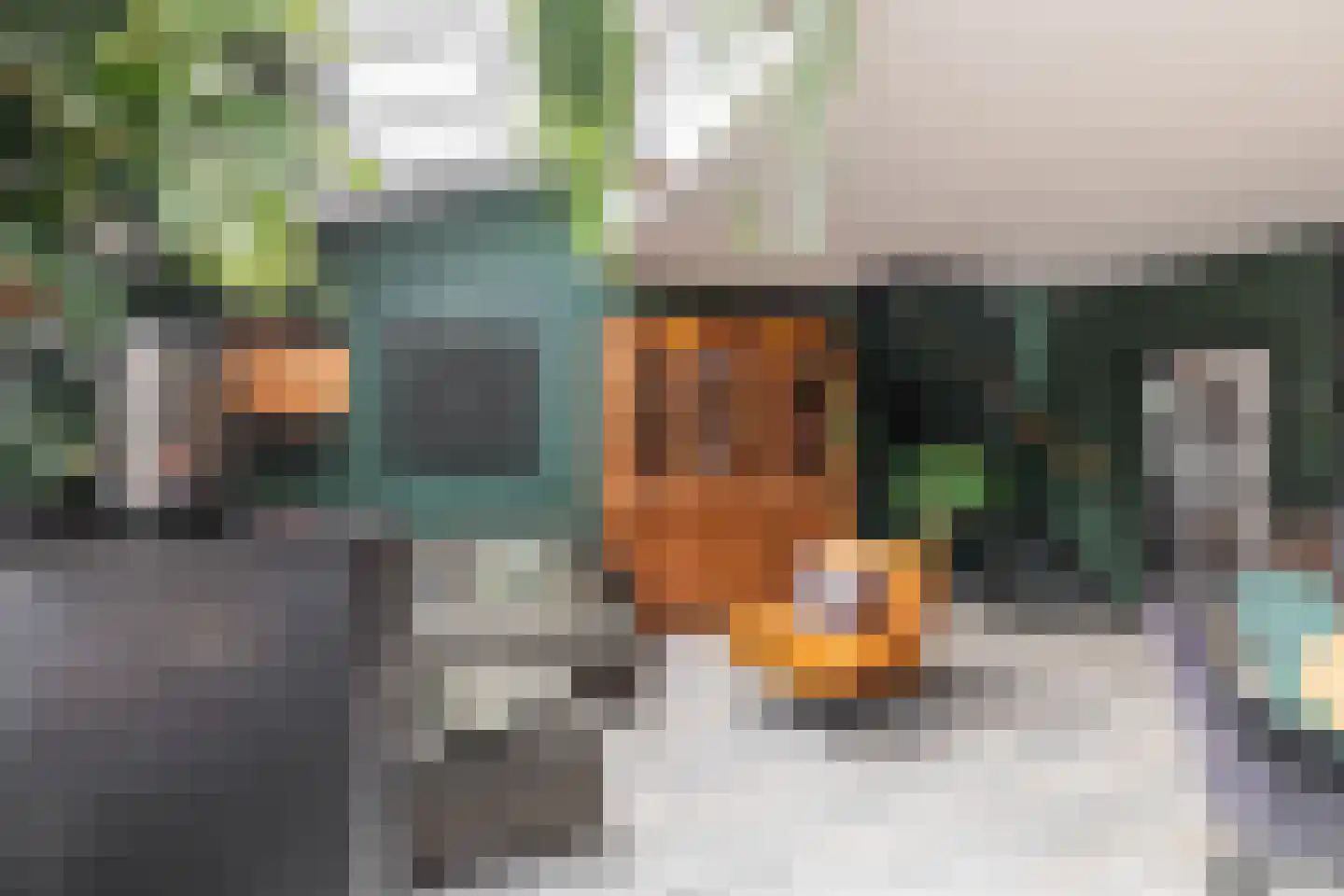 Rijperwaard 205 Alkmaar thumbnail 9