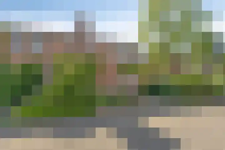 Rijperwaard 246 Alkmaar thumbnail 23