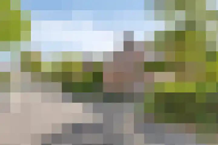 Rijperwaard 246 Alkmaar thumbnail 24