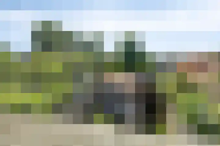 Rijperwaard 246 Alkmaar thumbnail 25