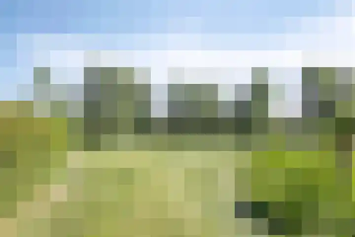Rijperwaard 246 Alkmaar thumbnail 26