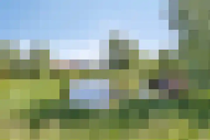Rijperwaard 246 Alkmaar thumbnail 27