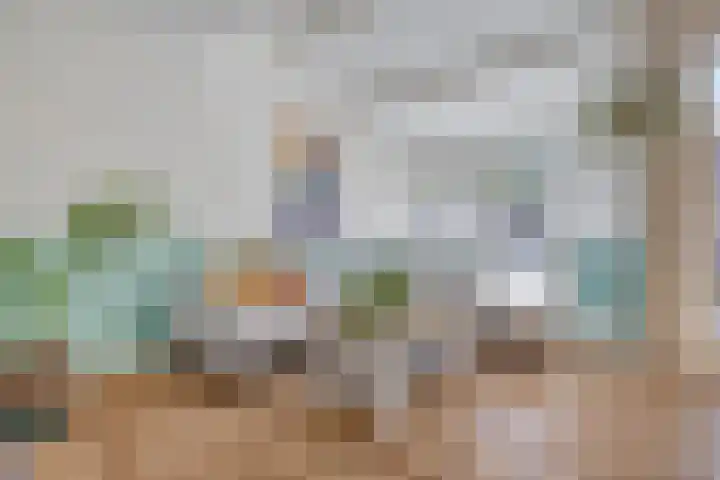 Rijperwaard 246 Alkmaar thumbnail 8