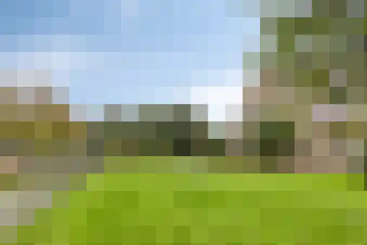 Rijperweg 112 a Middenbeemster thumbnail 14