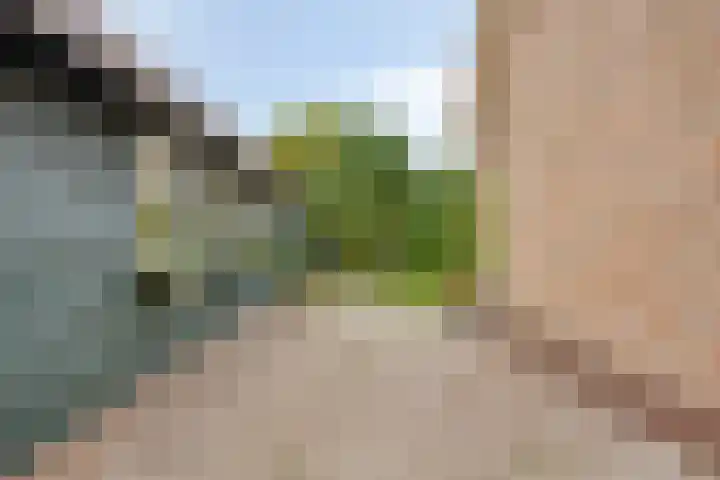Rijperweg 112 a Middenbeemster thumbnail 45
