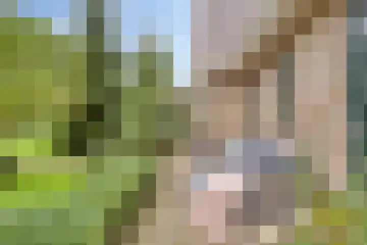 Rijperweg 112 a Middenbeemster thumbnail 47