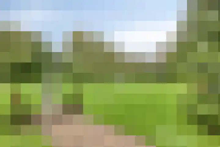 Rijperweg 112 a Middenbeemster thumbnail 51