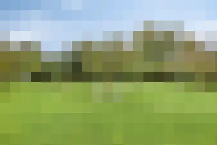 Rijperweg 112 a Middenbeemster thumbnail 52
