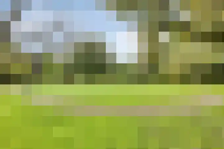 Rijperweg 112 a Middenbeemster thumbnail 53