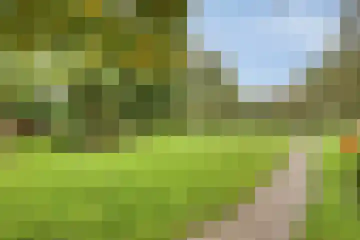 Rijperweg 112 a Middenbeemster thumbnail 54