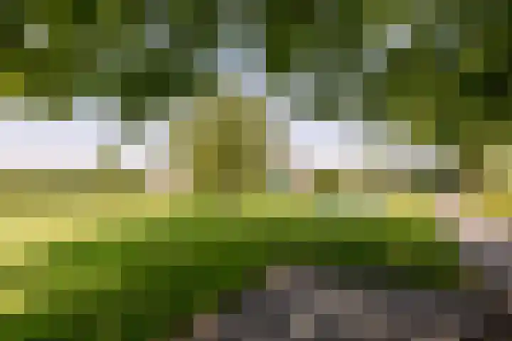 Rijperweg 119 a Middenbeemster thumbnail 46