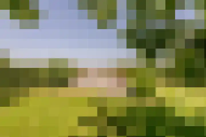Rijperweg 119 a Middenbeemster thumbnail 49