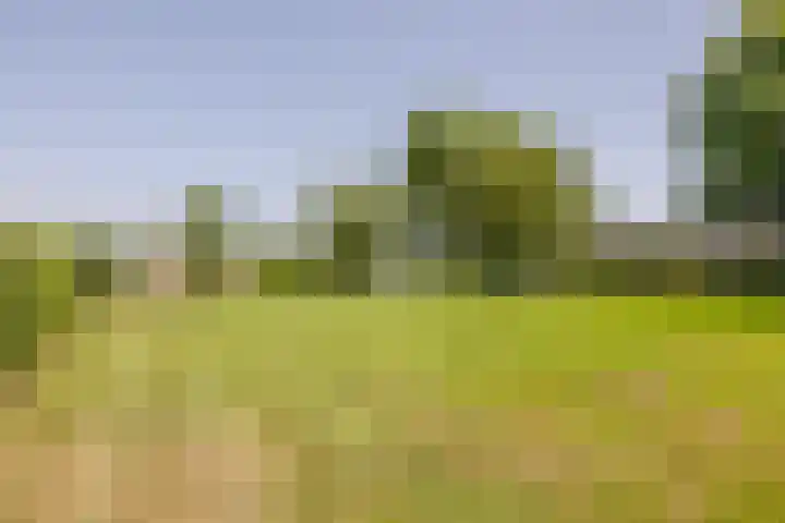 Rijperweg 119 a Middenbeemster thumbnail 5