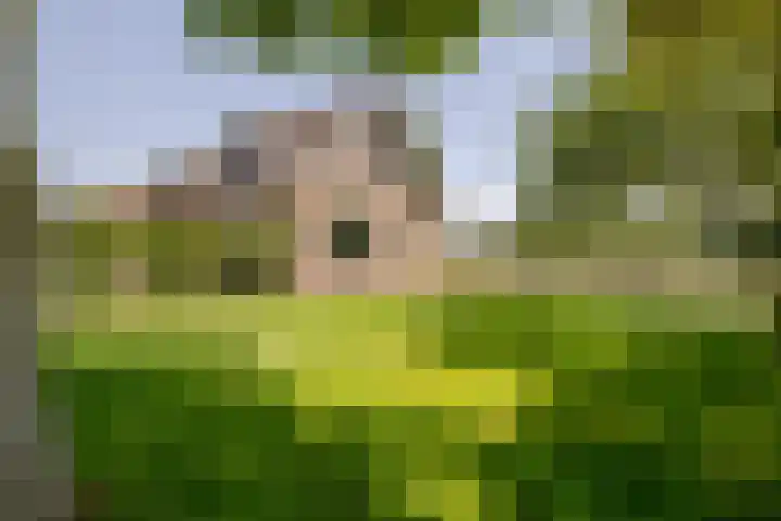 Rijperweg 119 a Middenbeemster thumbnail 54