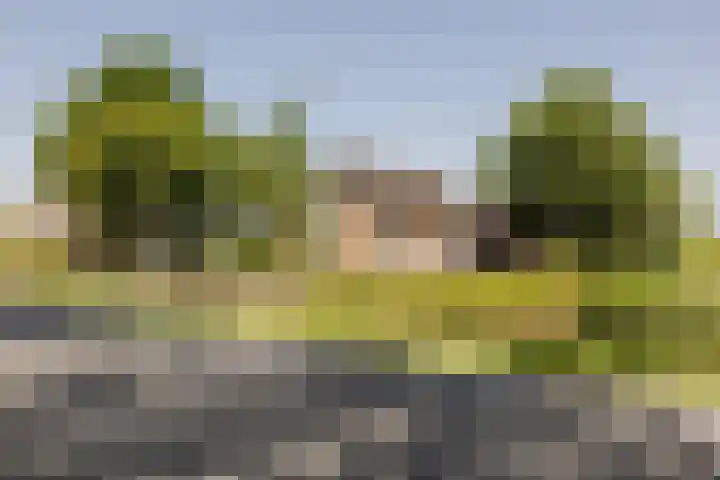Rijperweg 119 a Middenbeemster thumbnail 7