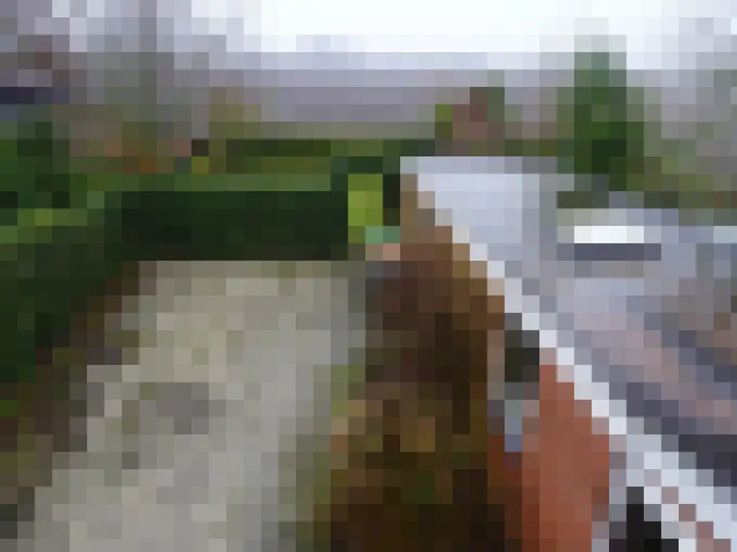 Rijperweg 26 Sint Maarten thumbnail 26