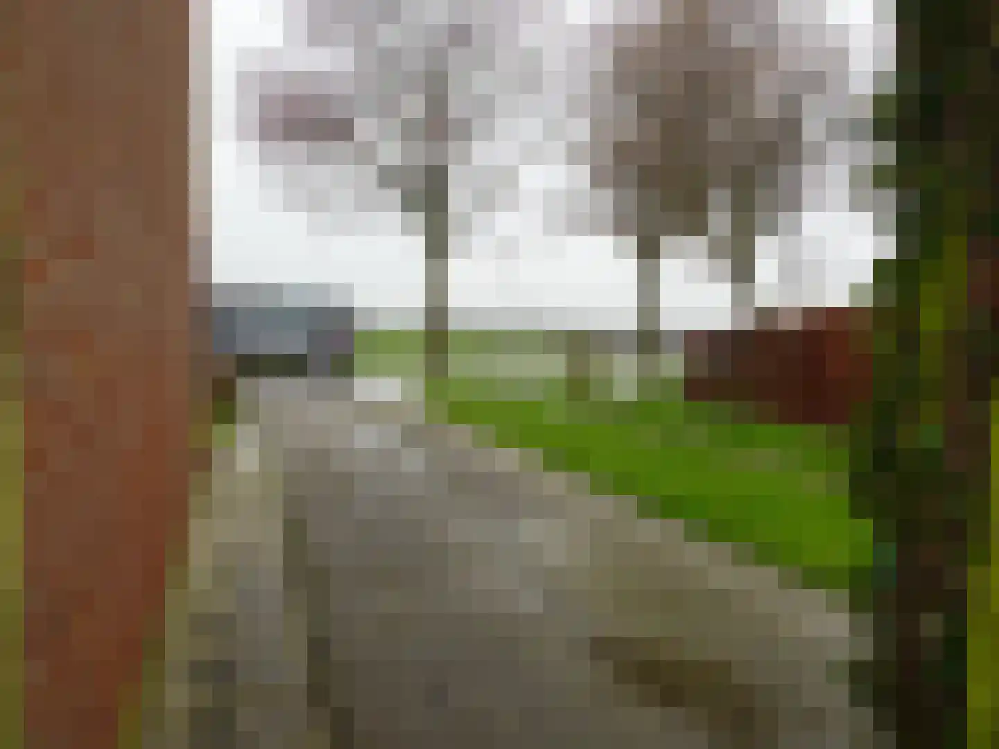 Rijperweg 26 Sint Maarten thumbnail 28
