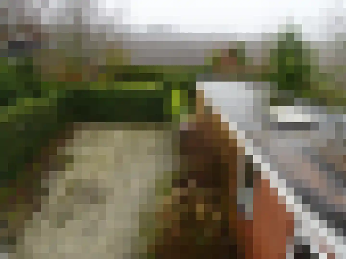 Rijperweg 26 Sint Maarten thumbnail 5