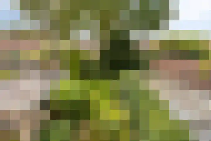 Rijperweg 49 Middenbeemster thumbnail 18