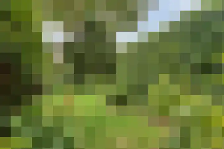 Rijperweg 49 Middenbeemster thumbnail 27