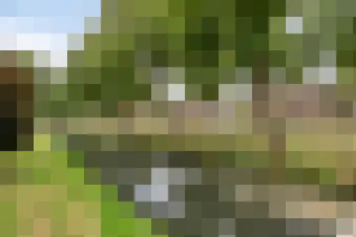 Rijperweg 49 Middenbeemster thumbnail 37
