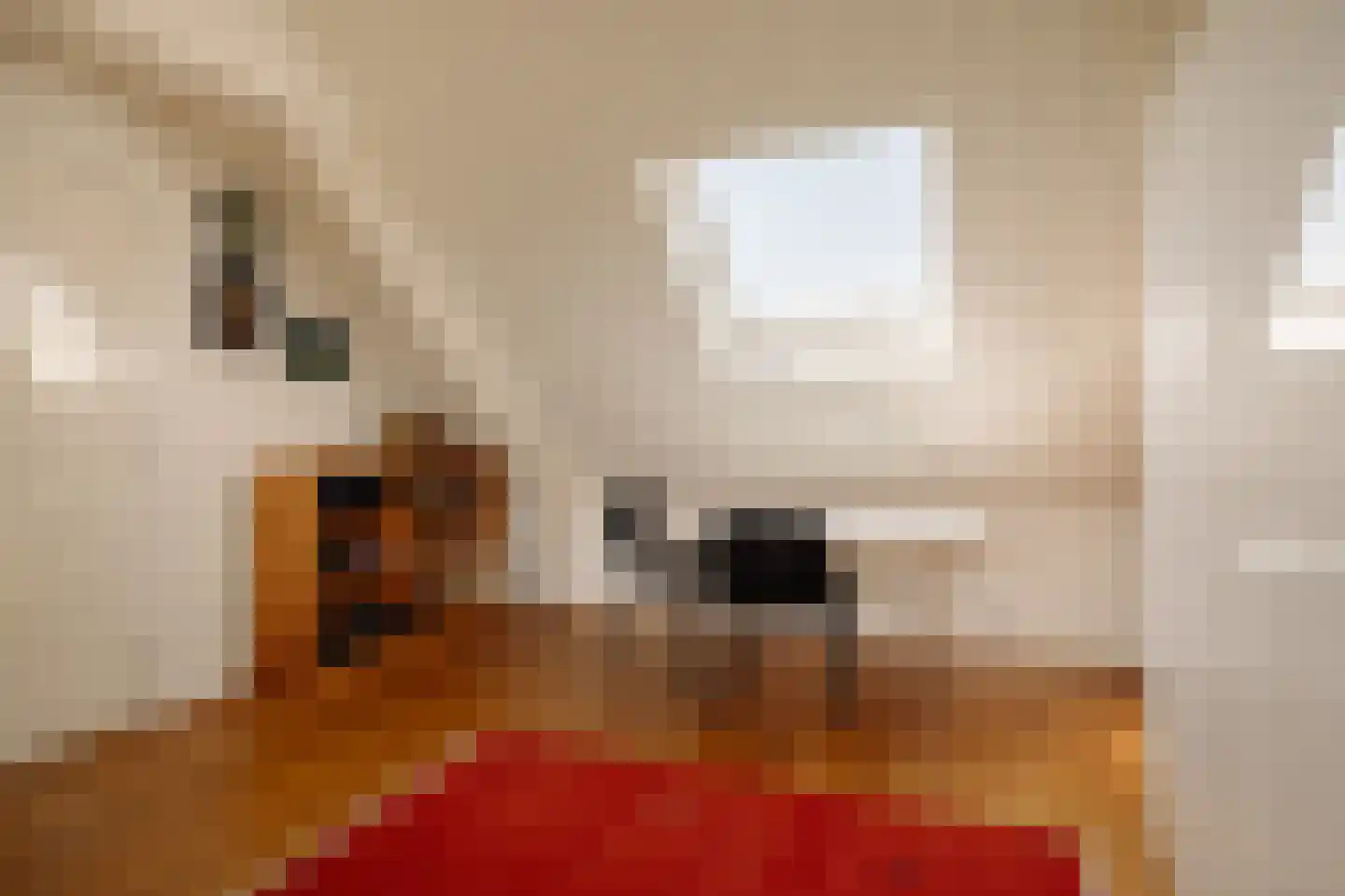 Rijperweg 6 Uitdam thumbnail 33