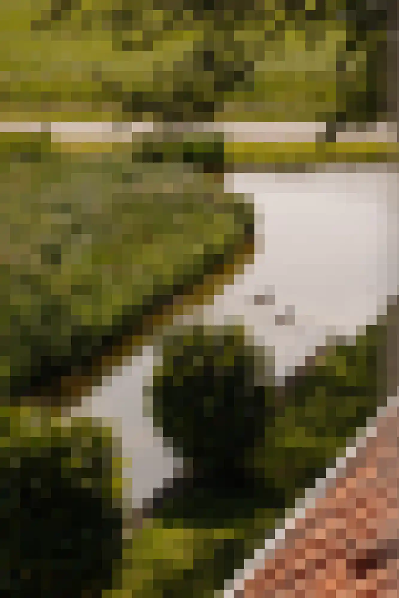 Rijperweg 6 Uitdam thumbnail 34