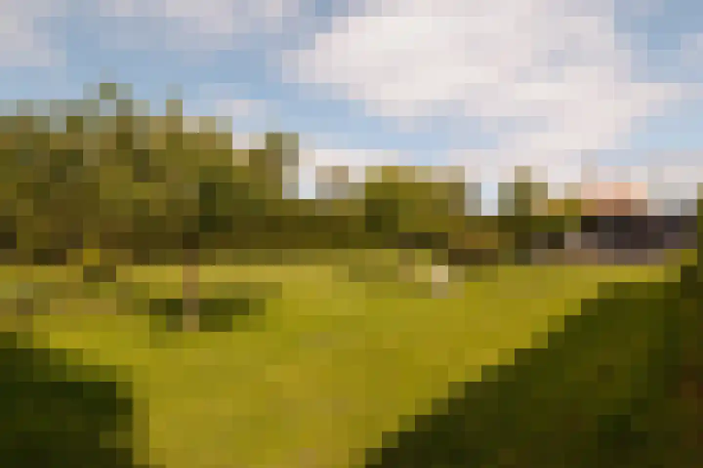 Rijperweg 6 Uitdam thumbnail 36