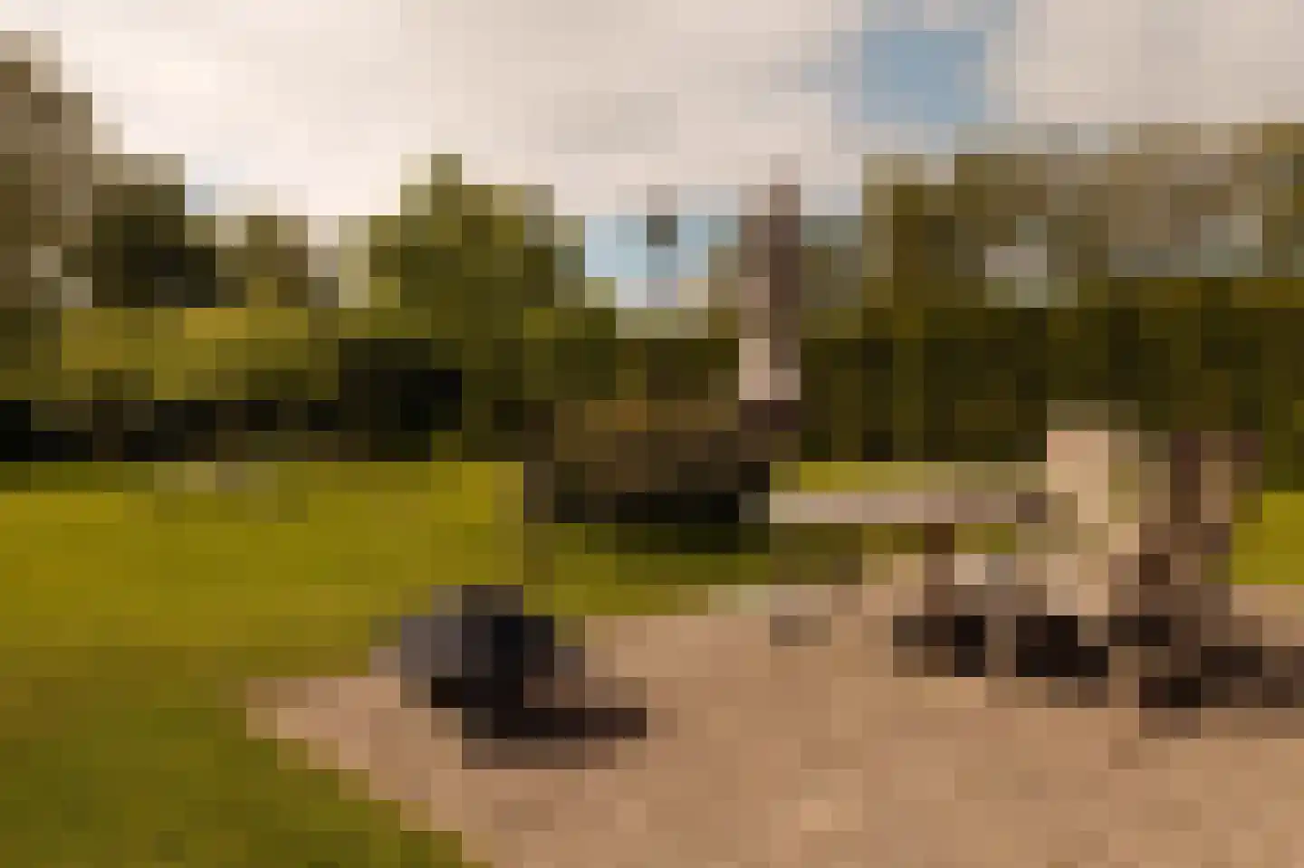 Rijperweg 6 Uitdam thumbnail 37