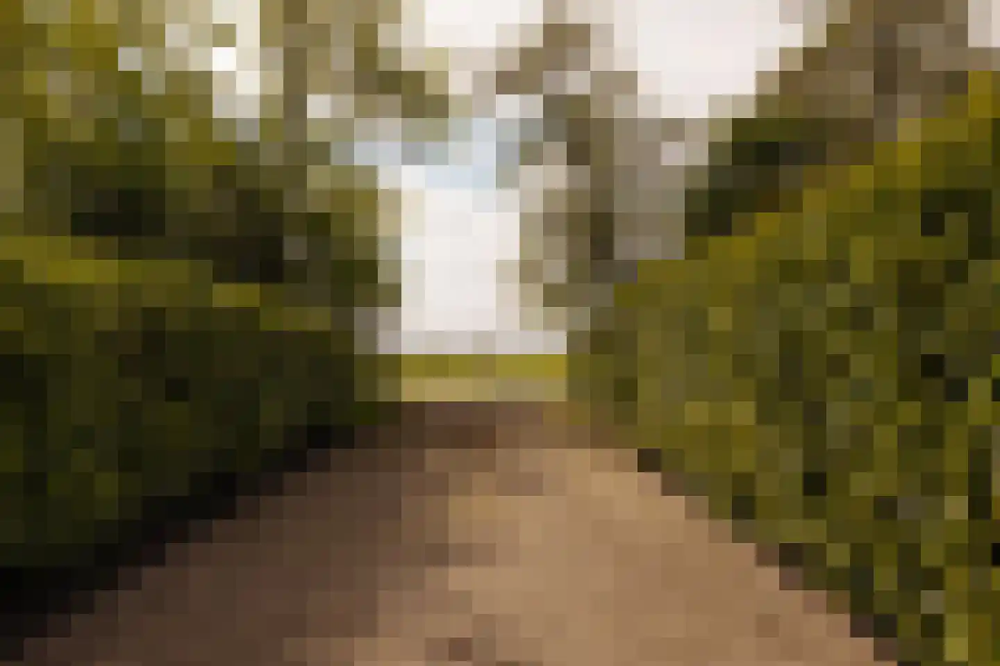 Rijperweg 6 Uitdam thumbnail 38