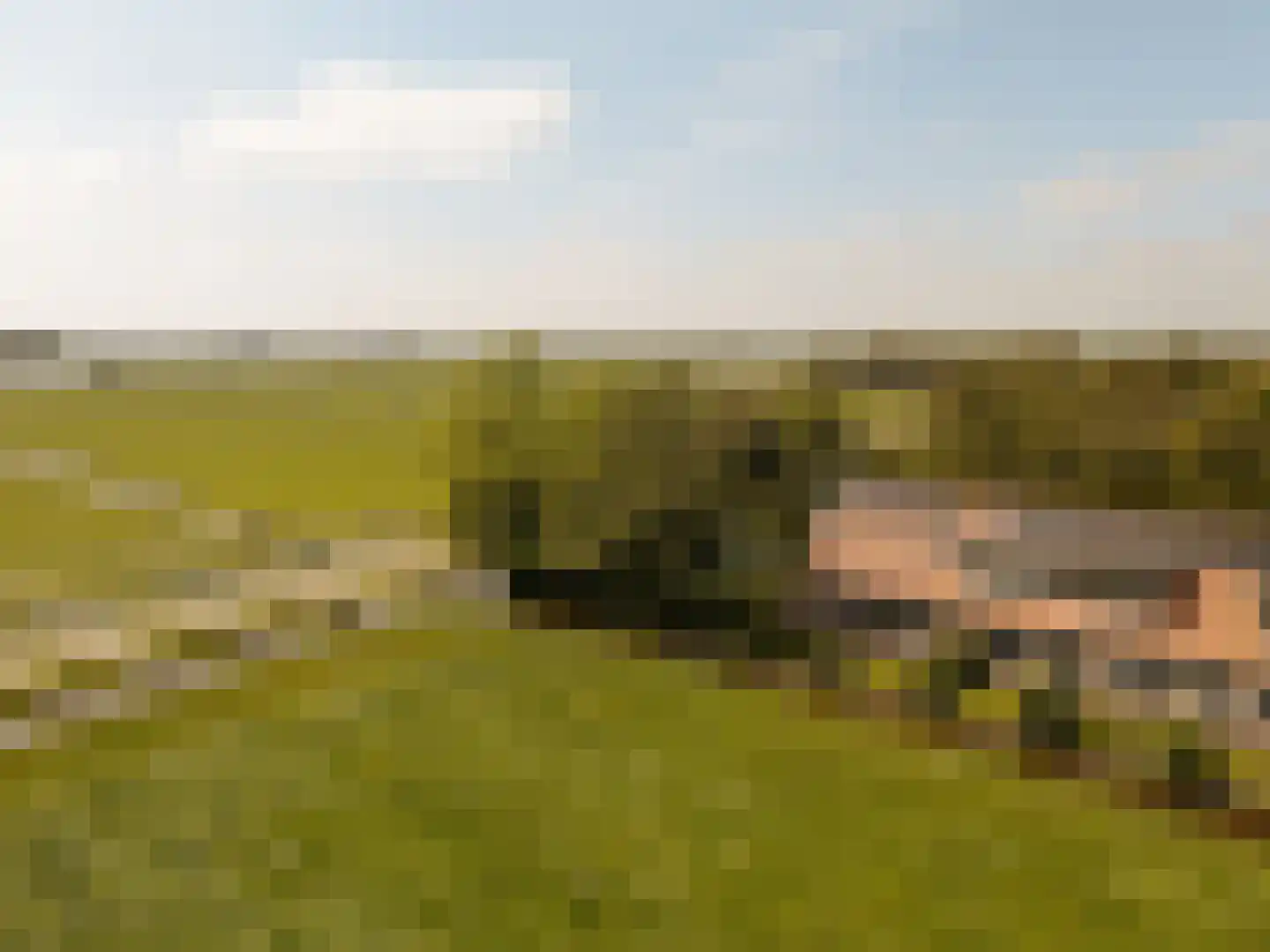 Rijperweg 6 Uitdam thumbnail 42