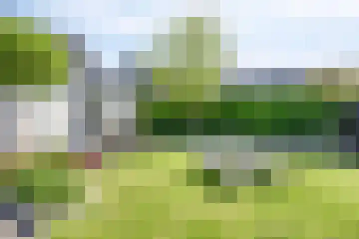 Rijperweg 65 Middenbeemster thumbnail 40