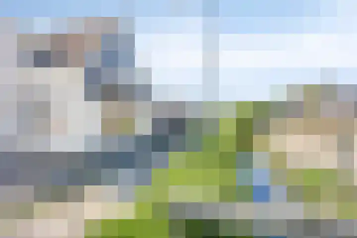 Rijperweg 65 Middenbeemster thumbnail 50